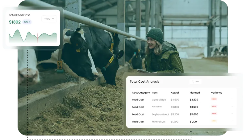 image showcasing real time precision ration