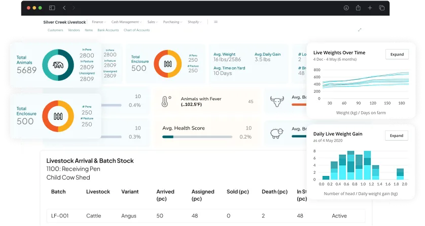 image showcasing livestock & Lot management activities