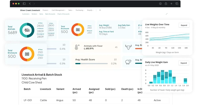 dashboard screen showcasing activities Livestock & Lot Management
