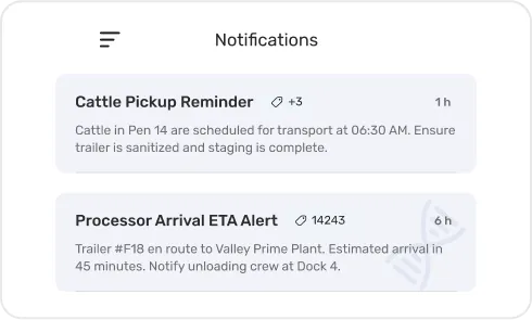 image of Alerts & Notifications