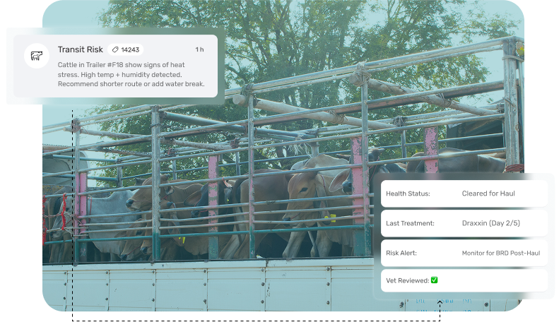 image showcasing real time temp monitoring