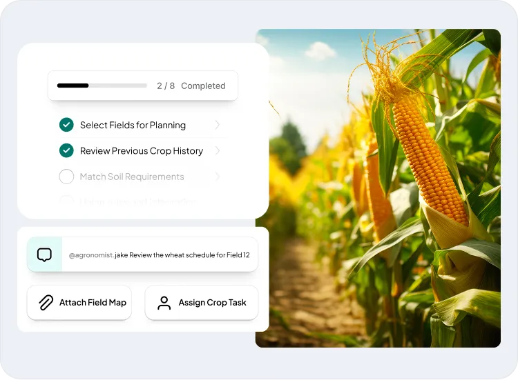 image showcasing the activities in crop planning and rotation