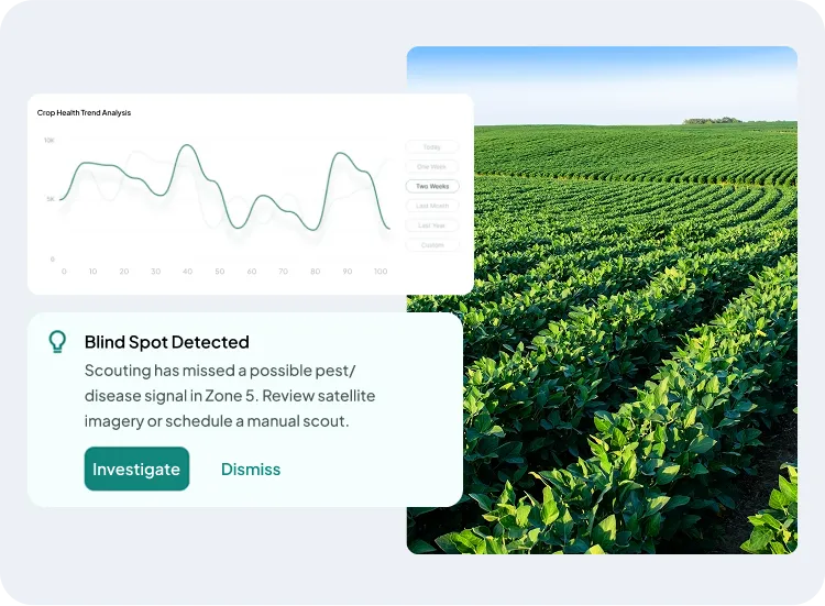 image showcasing the activities in crop scouting management