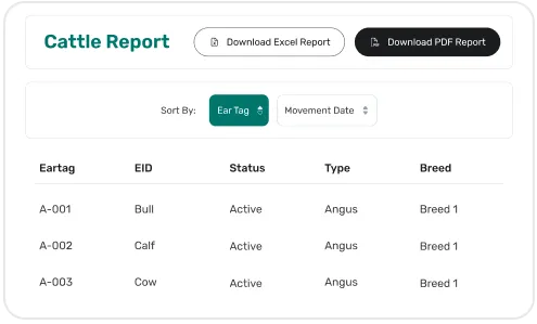 image of custom report builder