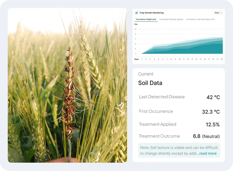 image showcasing activities on disease history & seasonal analytics