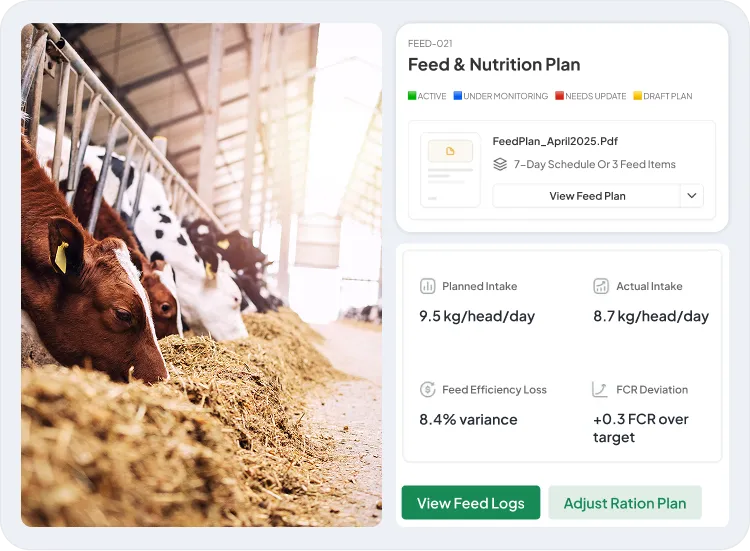 image showcasing activities in feeding management