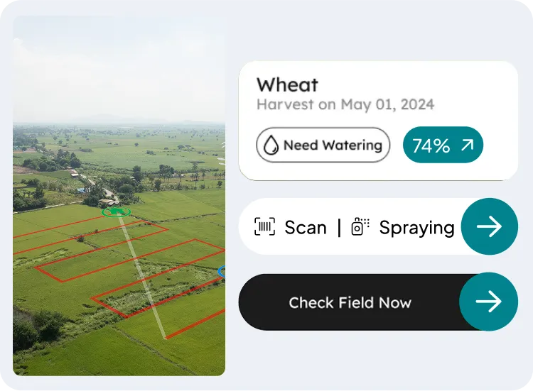 image of activities in Field Mapping & Setup