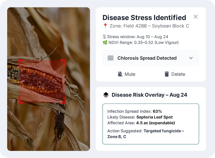 image showcasing activities on field surveillance & disease mapping