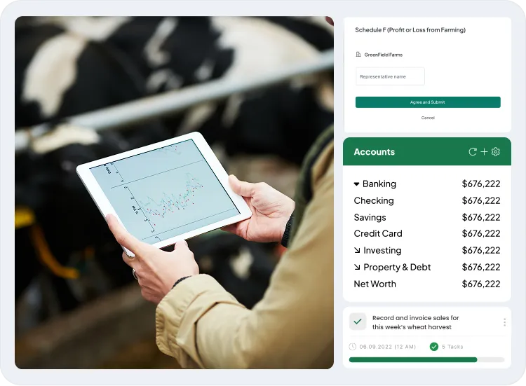 image showcasing activities in finance management