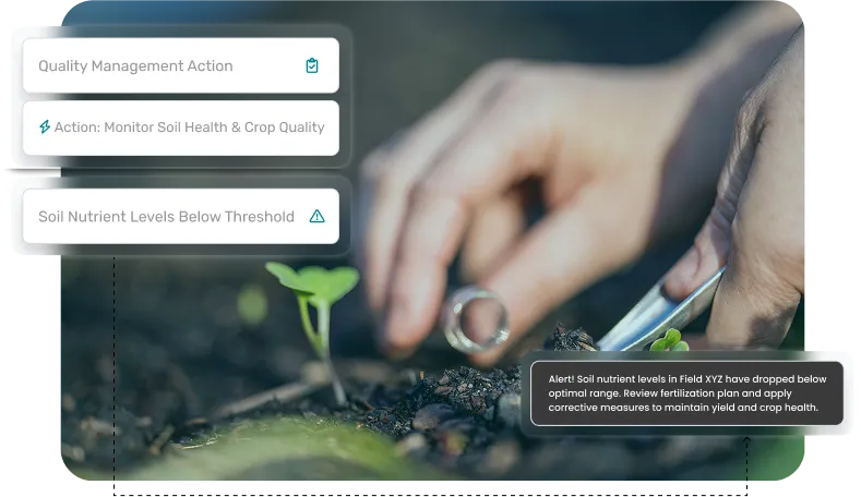 image showcasing activities in quality management