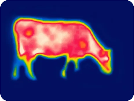 image of behavior monitoring
