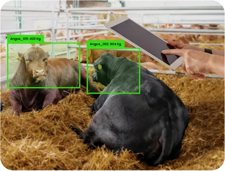 image of weight performance monitoring