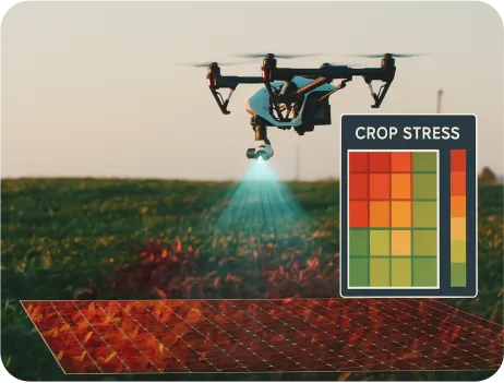 Image of Aerial Stress Monitoring