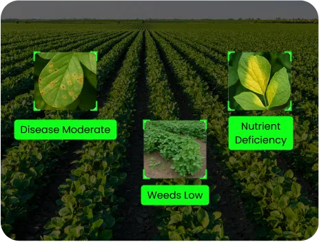 Image of Scouting Photo Sorting