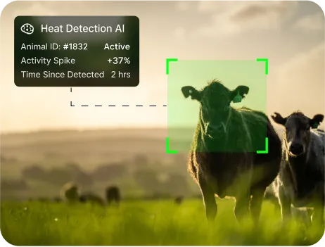 image of genetic trait prediction