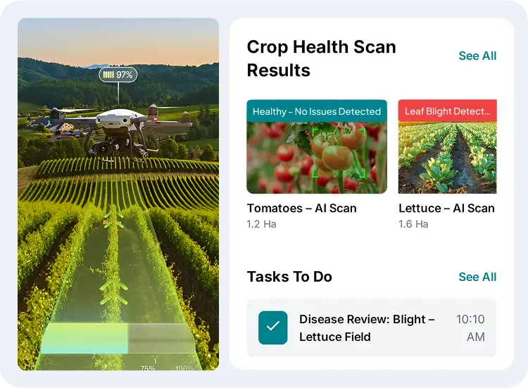 image showcasing activities on image based diagnosis & classification