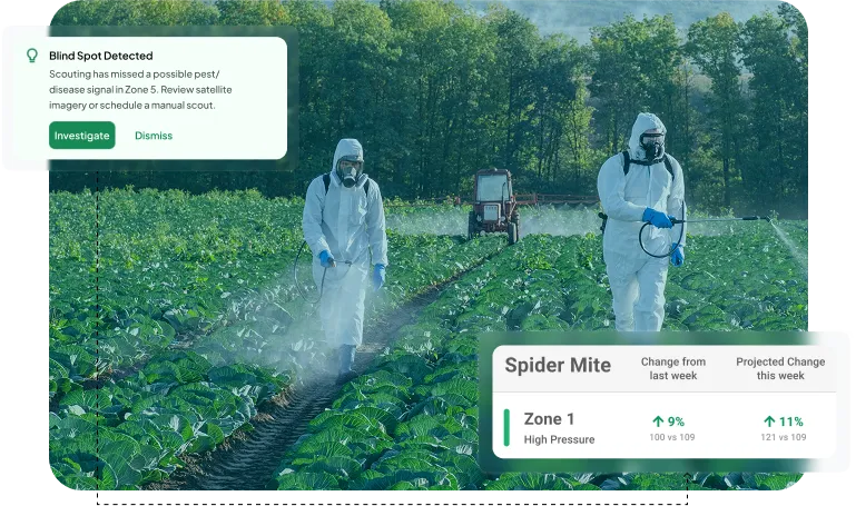 image showcasing pest severity mapping