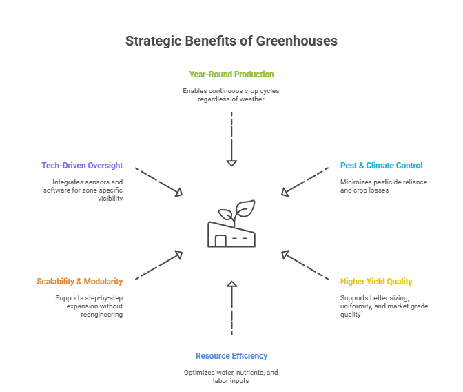 benefits of a greenhouse