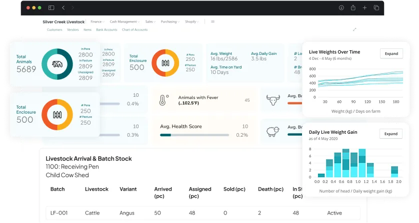 image showcasing activities in livestock & lot Management