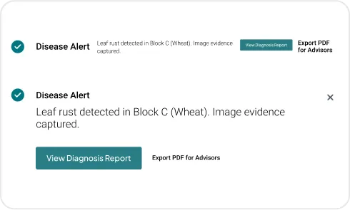 Image of One-Tap Report Generation