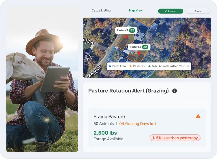 image showcasing activities in pasture management