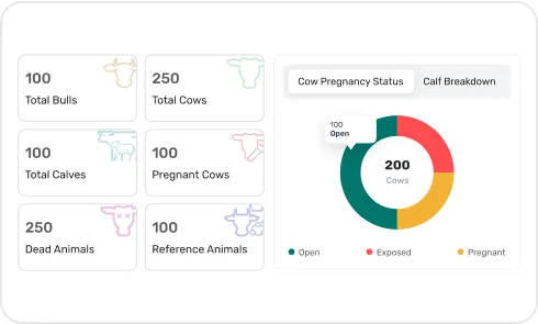 image of performance dashboard