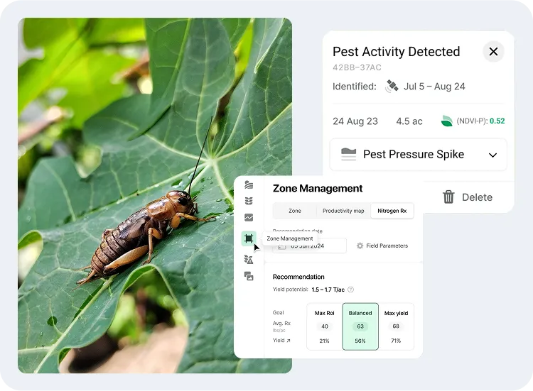 image showcasing the activities in pest surveillance