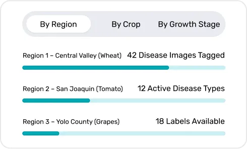 image of Region-Specific Disease Labels