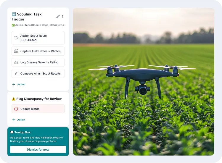 image showcasing activities on scouting & ground validation