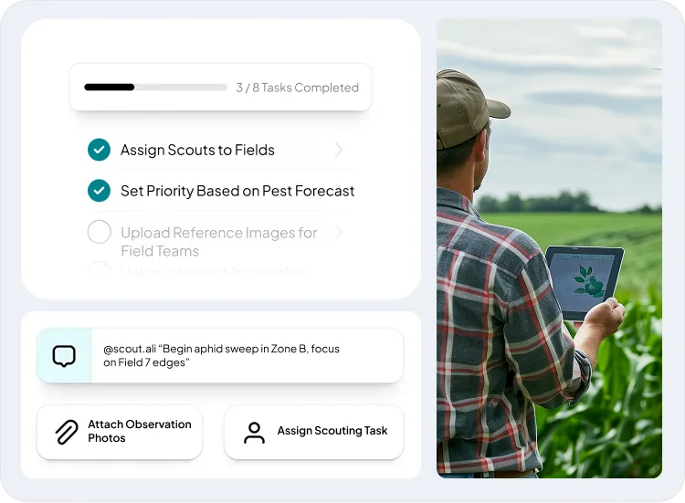 image of activities in scouting task management