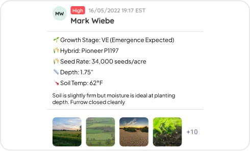 Image of Seeding & Planting Logs