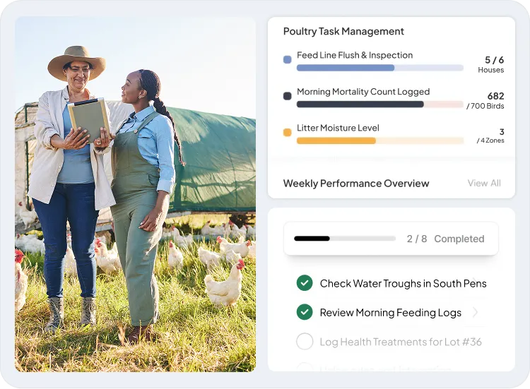 image showcasing activities in task management