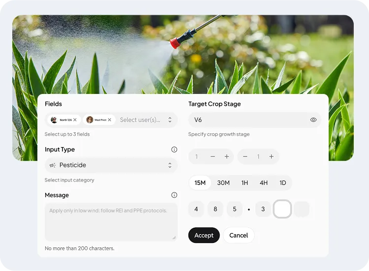 image showcasing the activities in treatment planning