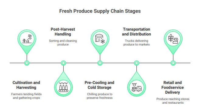 fresh produce supply chain stages