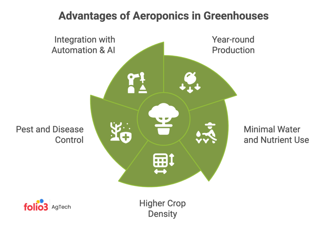 Benefits of Using Aeroponics in Greenhouses