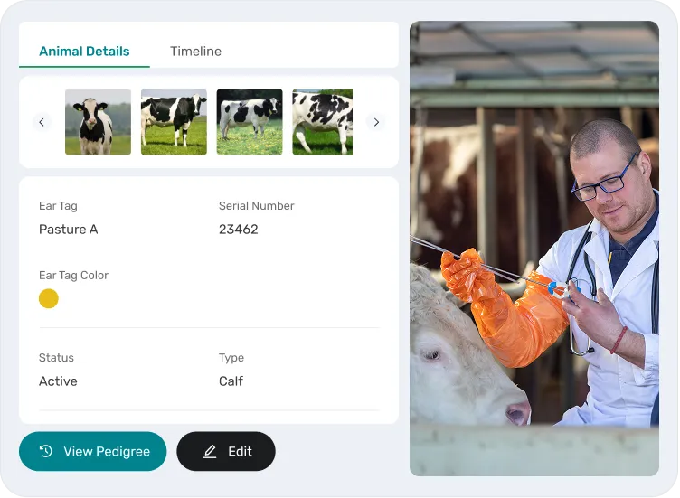 image shocasing activities in animal managment