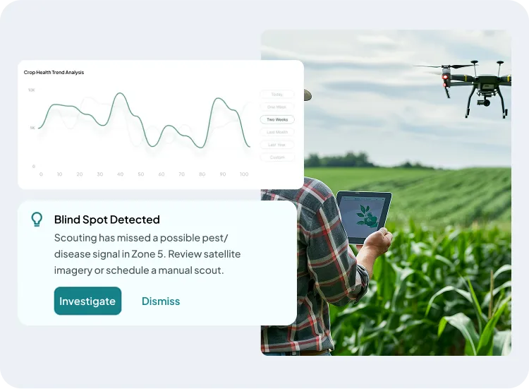image of crop health monitoring