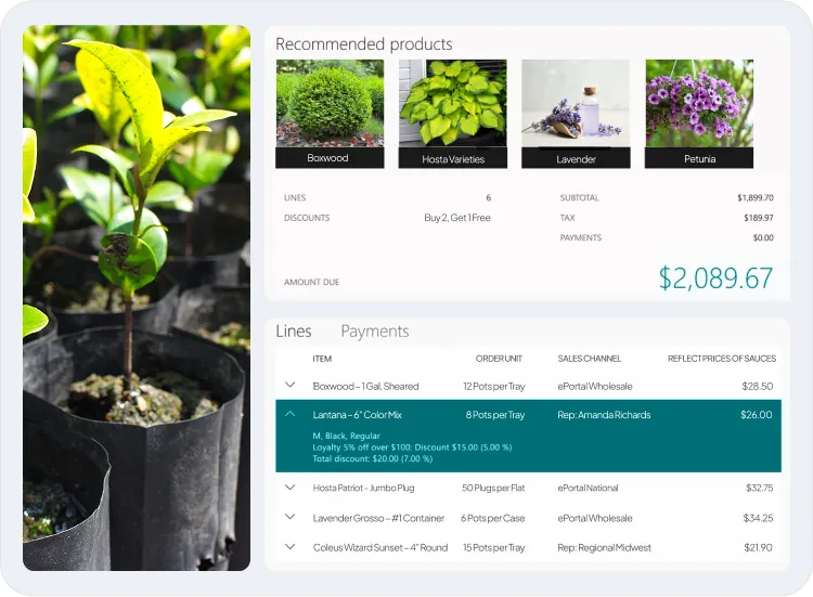 image of ecommerce/customer portal