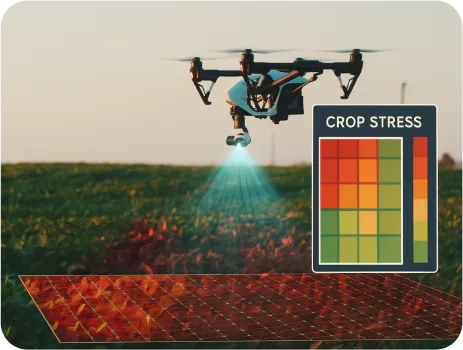 Image of Crop Water Stress Detection
