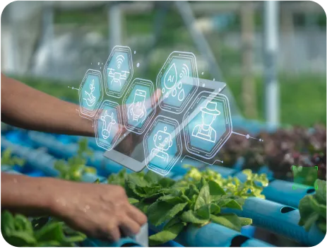 image of Yield Forecasting