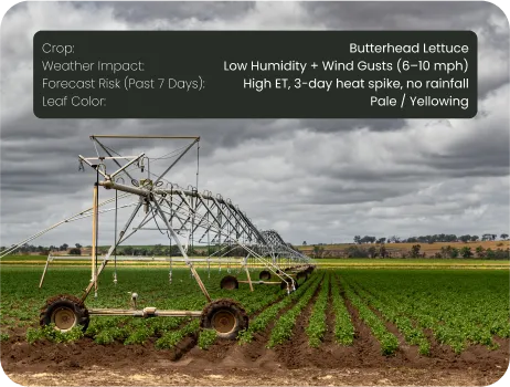 image of Weather Forecast Integration