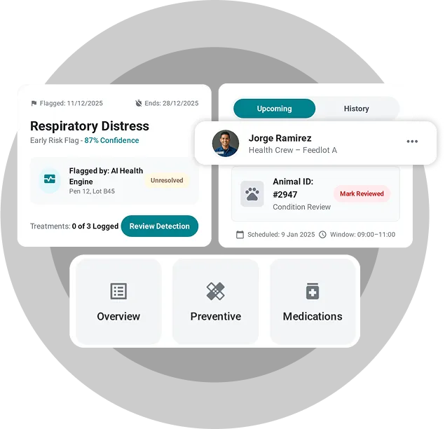 widget showcasing real time animal disease detection