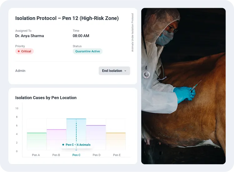 image showcasing activities in hosing & isolation