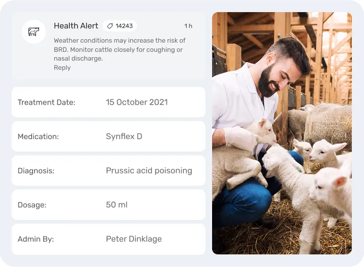 image showcasing activities in medication & treatment compliance