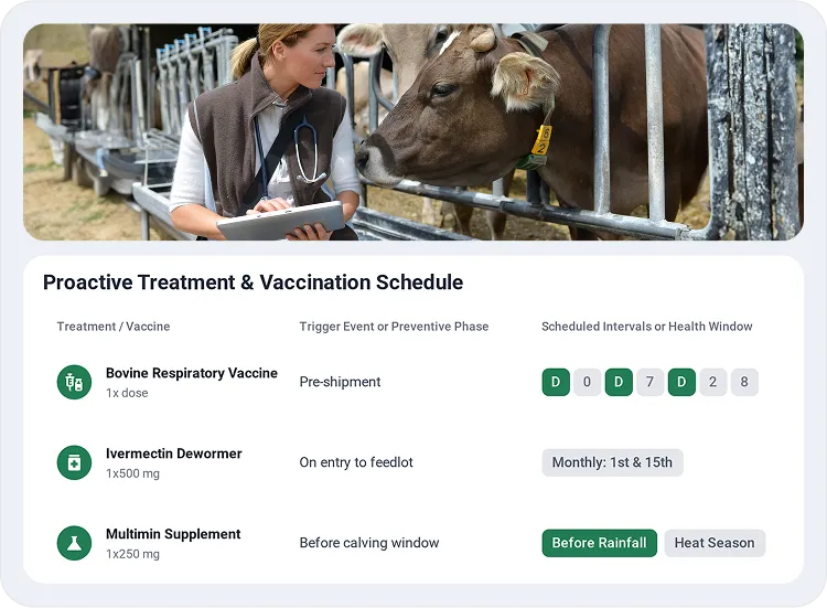 image showcasing activities in Predictive Health Planning