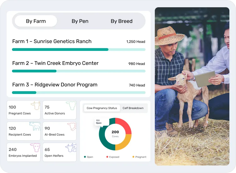 image shocasing activities in reporting & analytics