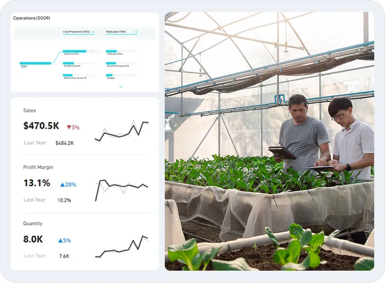 image of reporting & analytics