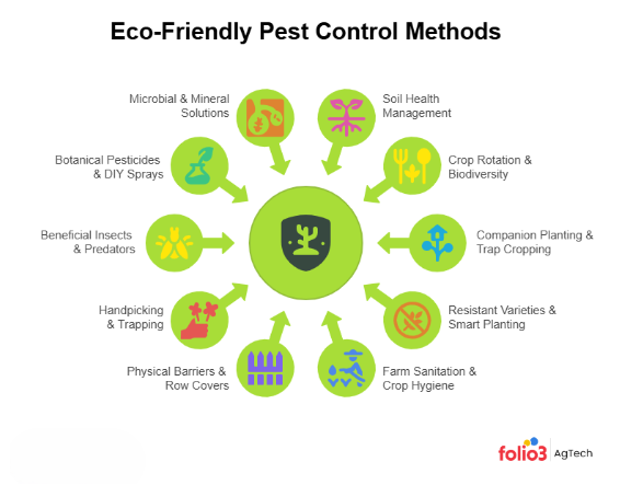best methods to control pest