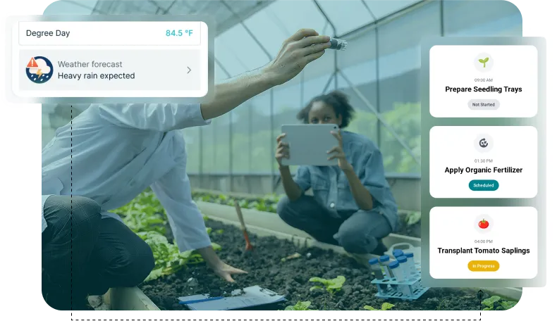 image of crop planning schediule