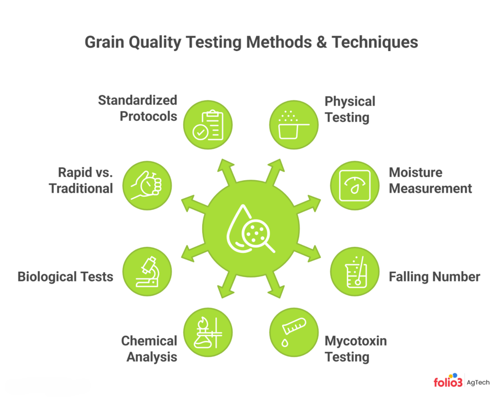 Grain Quality Analysis and Testing Techniques